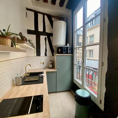 Magnifique Loft Lumineux - Centre De * רואן