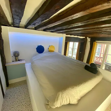 Magnifique Loft Lumineux - Centre De * רואן
