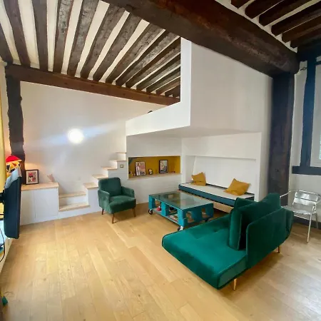 Magnifique Loft Lumineux - Centre De * רואן